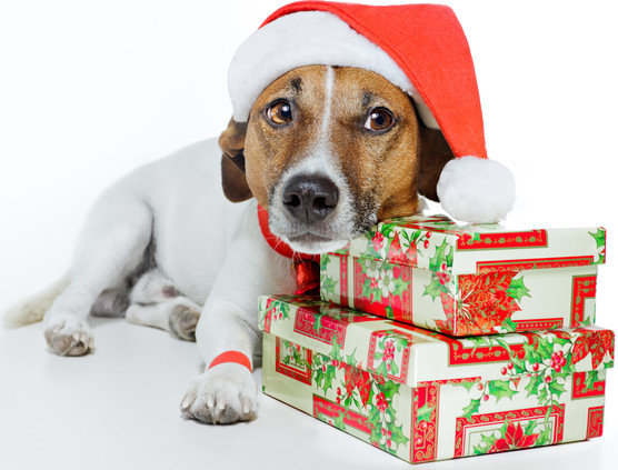 2016 Top 25 Holiday Drives in Los Angeles
