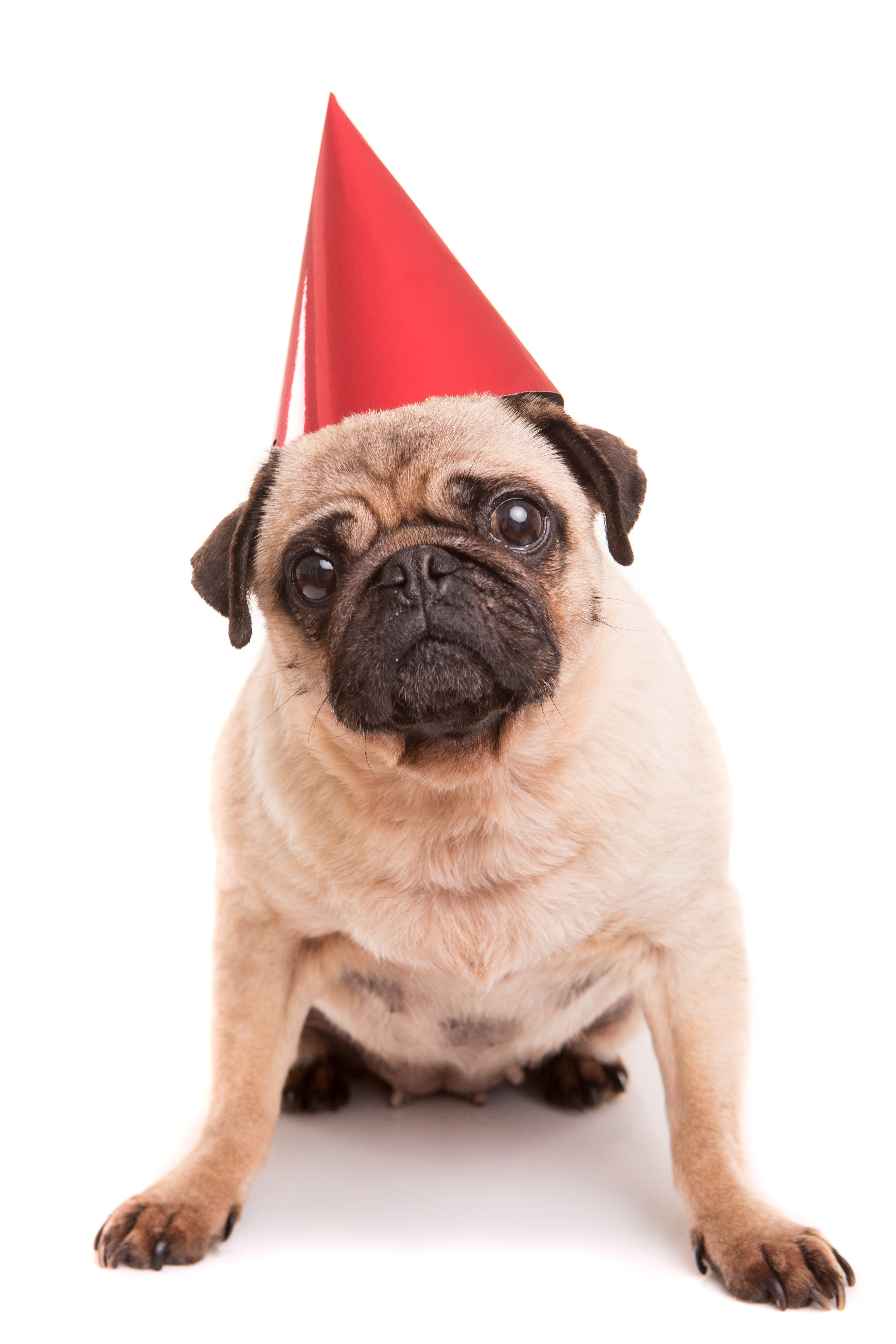 shutterstock 188726372