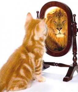 Envision Consulting: 5 Signs You're A Victim Of Founder's Syndrome 