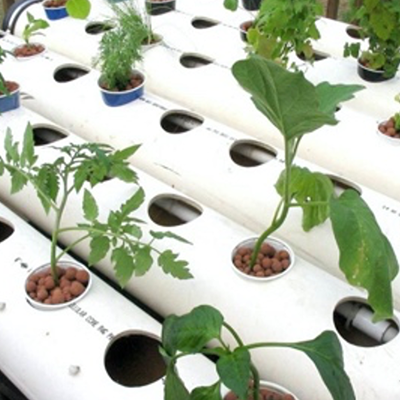 HYDROPONICS VS. AQUAPONICS