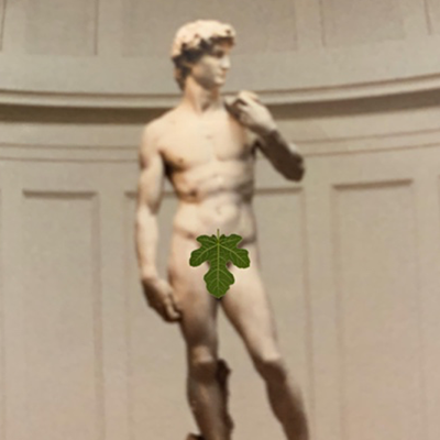 "DAVID" BY DA VINCI